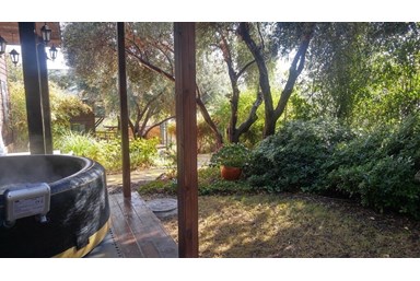 וילה העיגול הפנימי ראש פינה - החצר והבריכה