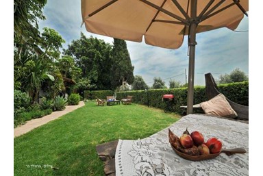 וילה אורחן בגולן  - הבריכה והחצר