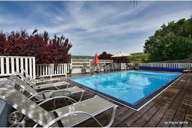 וילה מקסים - הבריכה והספא