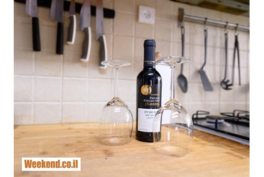 וילה בצל הגפן - הוילה 