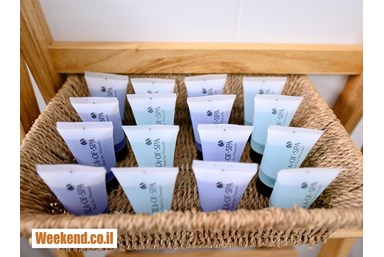 וילה בצל הגפן