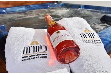 וילה פנינה בכנרת - מתחם הבריכה והחצר