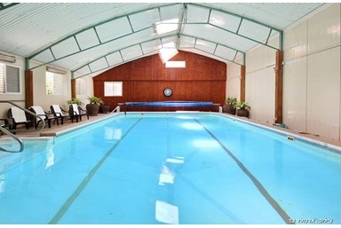 וילה פנינה בכנרת - מתחם הבריכה והחצר