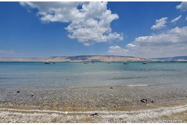 וילה פנינה בכנרת - מתחם הבריכה והחצר