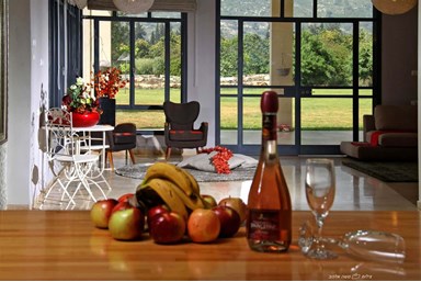 וילה 4 עונות - הוילה