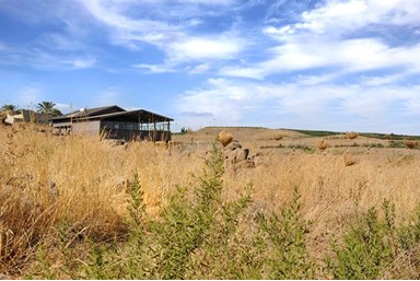 וילה פנדורה - החצר והבריכה