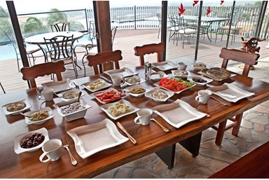 וילה גליליי נוף לכנרת - החצר והבריכה