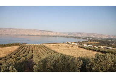 וילה גליליי נוף לכנרת - חדרי הוילה