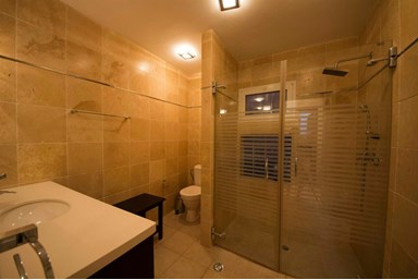 וילה טופז  - החצר והבריכה