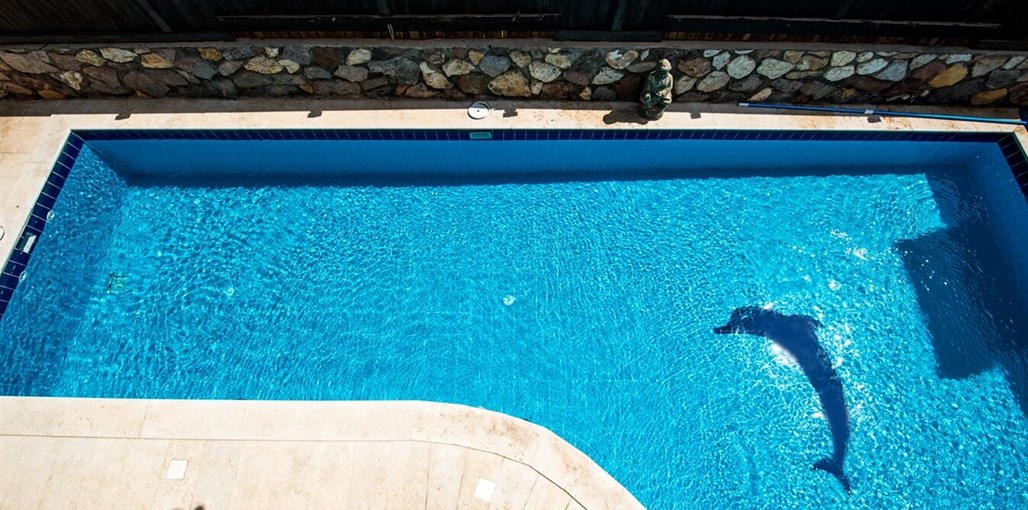 וילה טופז חצר (8).jpg