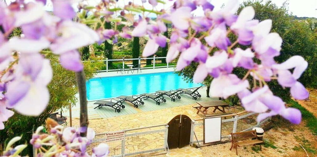 וילה שוויצריה בגליל שוויצריה בגליל (1).jpg