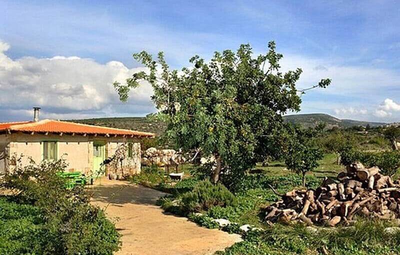 וילה כליל הטבע החצר-והנוף-(2).jpg