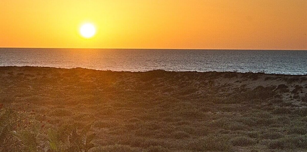 וילה מליבו - קיסריה IMGL5884.jpg