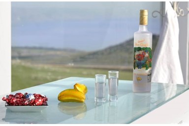 וילה טיקטוק - הבריכה והחצר