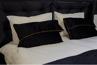 וילה דוד  - הוילה