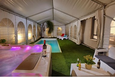 וילה דוד  - הבריכה והחצר