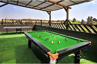 וילה אחוזת ווינטרפל - החצר והבריכה