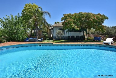 וילה קלמה במושבה - החצר והבריכה