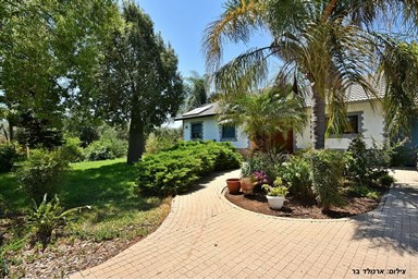 וילה קלמה במושבה - החצר והבריכה