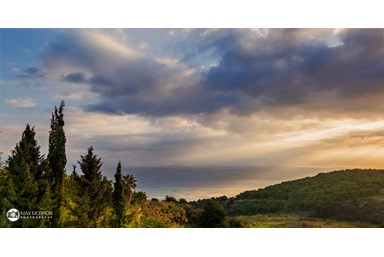 וילה לבנדר בהרים - החצר והבריכה