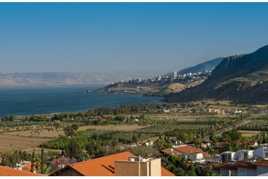 וילה ארמון כנרת - הבריכה והחצר