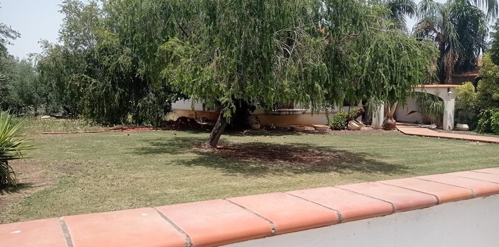 אחוזת קסם במושבה אחוזת קסם במושבה (4).jpg