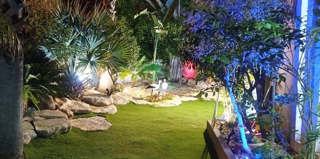 אחוזת הוליווד החצר (2).jpg