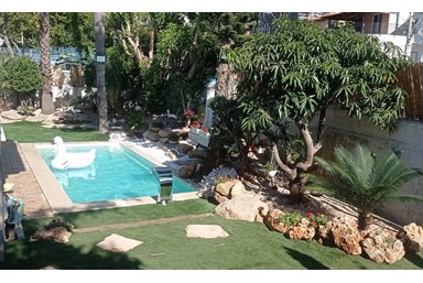 וילה אחוזת הוליווד - הבריכה והחצר