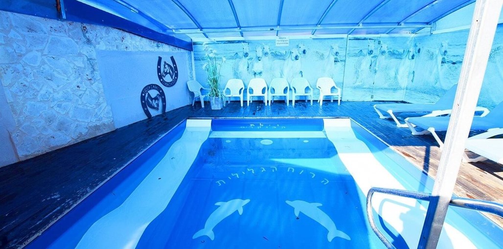 וילות וי קלאב גורן הרוח הגלילית - הבוקרים (5).jpeg