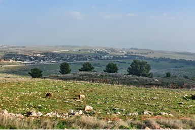 וילה אדג' - Villa Edge - החצר והנוף