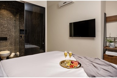 וילה פנטהאוז צל הרים