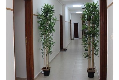 וילה פסגת הרים - אירוח דרוזי - יחידות האירוח