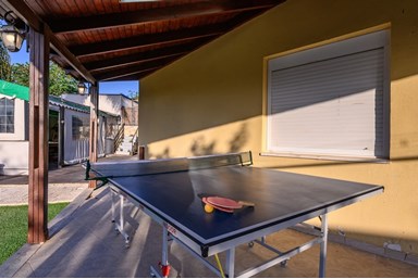 וילה אריאל - החצר, הבריכה והג'קוזי 