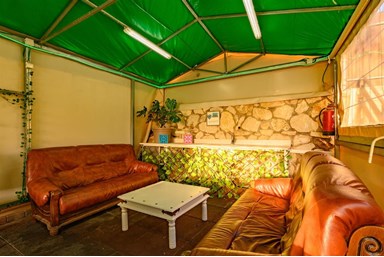 וילה אריאל - החצר, הבריכה והג'קוזי 