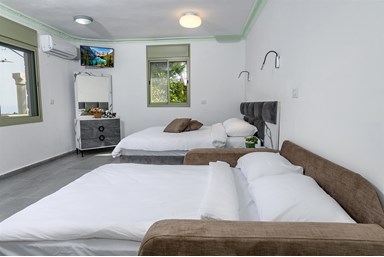 וילה ארמון מוראד - הוילה