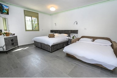 וילה ארמון מוראד - הוילה