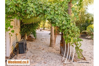 וילה בצל הגלבוע - החצר והבריכה 